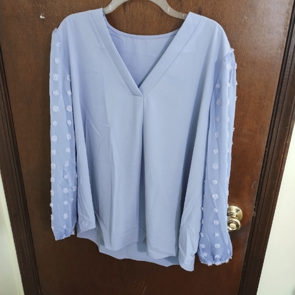 Elegant Blue lavendarV-Neck Women's Top
